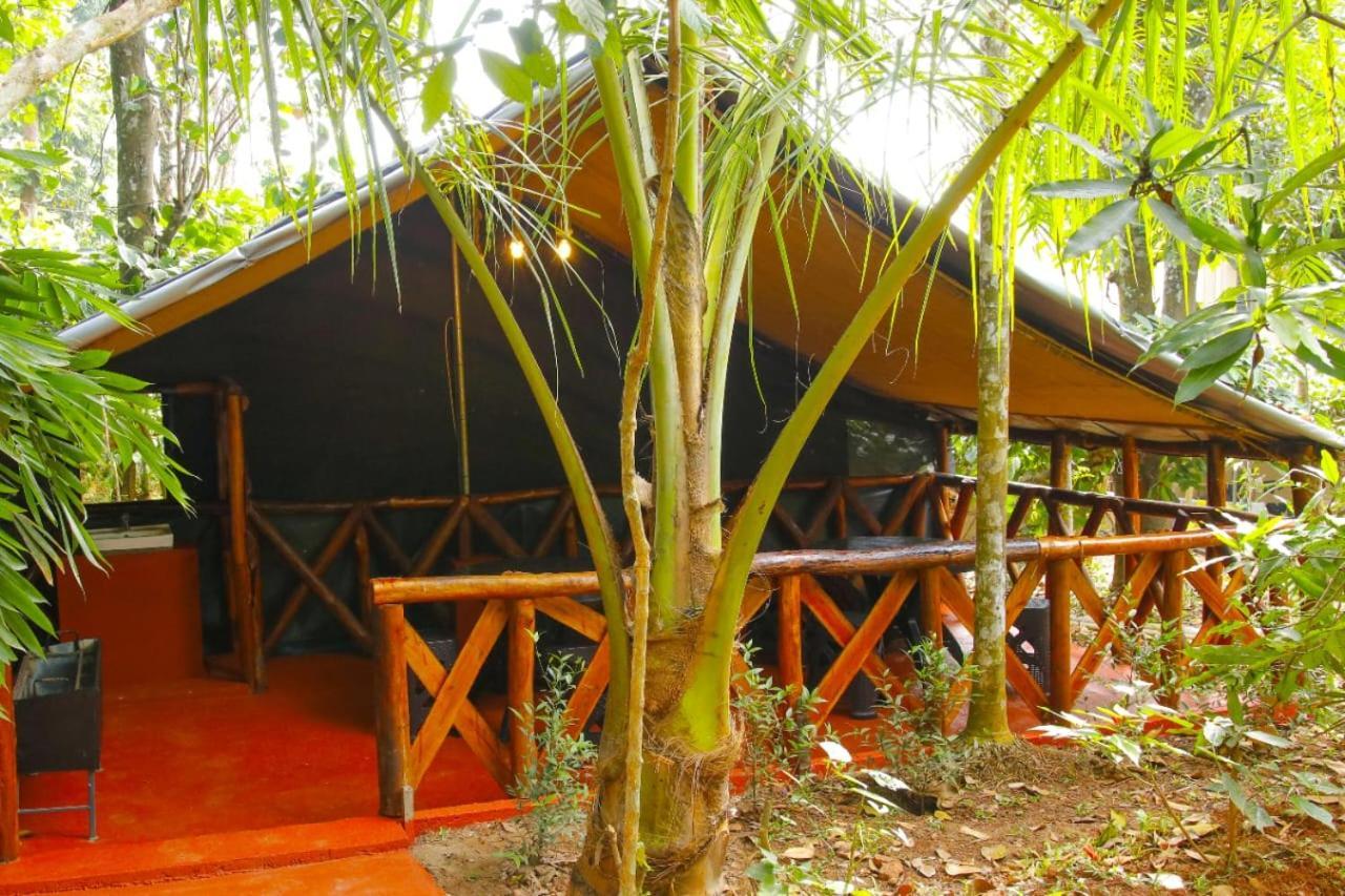 Greens Tree House & Wood House سلطان بتيري المظهر الخارجي الصورة