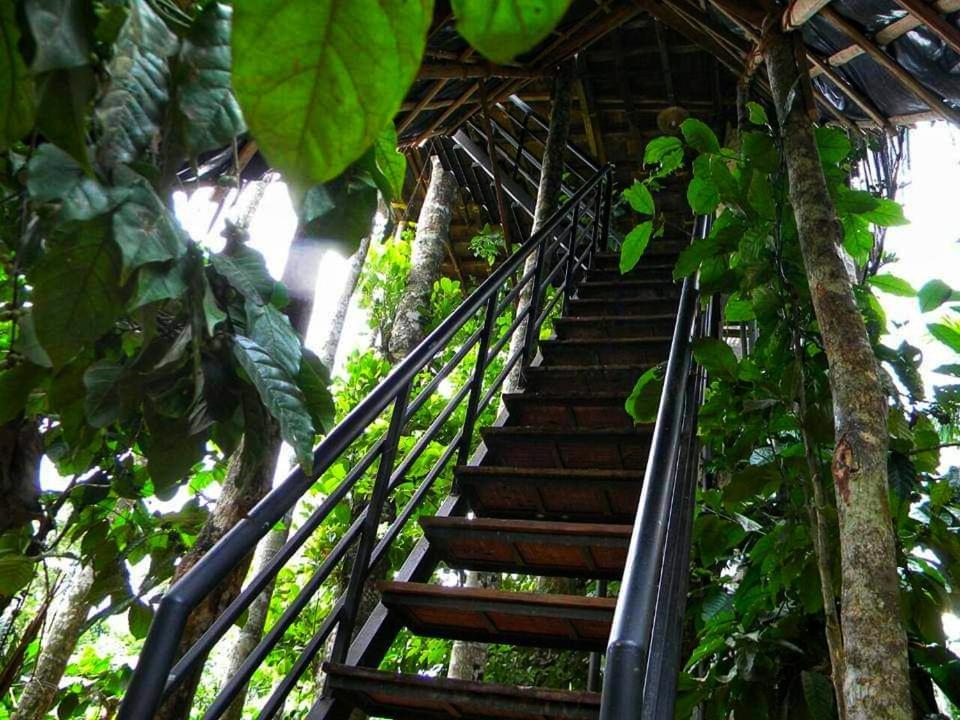 Greens Tree House & Wood House سلطان بتيري المظهر الخارجي الصورة