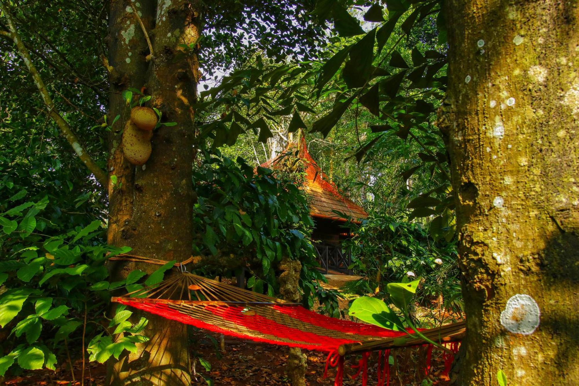 Greens Tree House & Wood House سلطان بتيري المظهر الخارجي الصورة