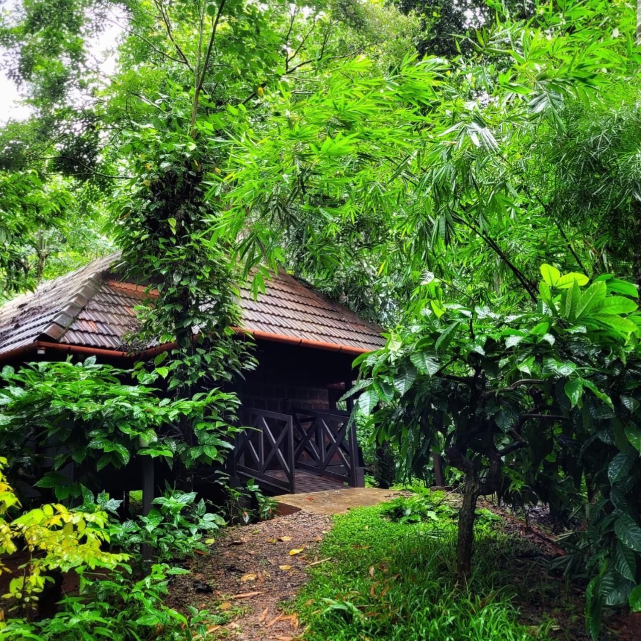 Greens Tree House & Wood House سلطان بتيري المظهر الخارجي الصورة