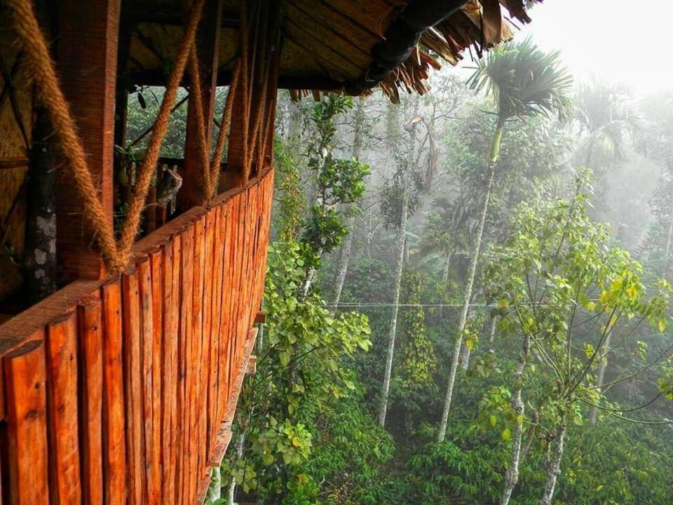 Greens Tree House & Wood House سلطان بتيري المظهر الخارجي الصورة