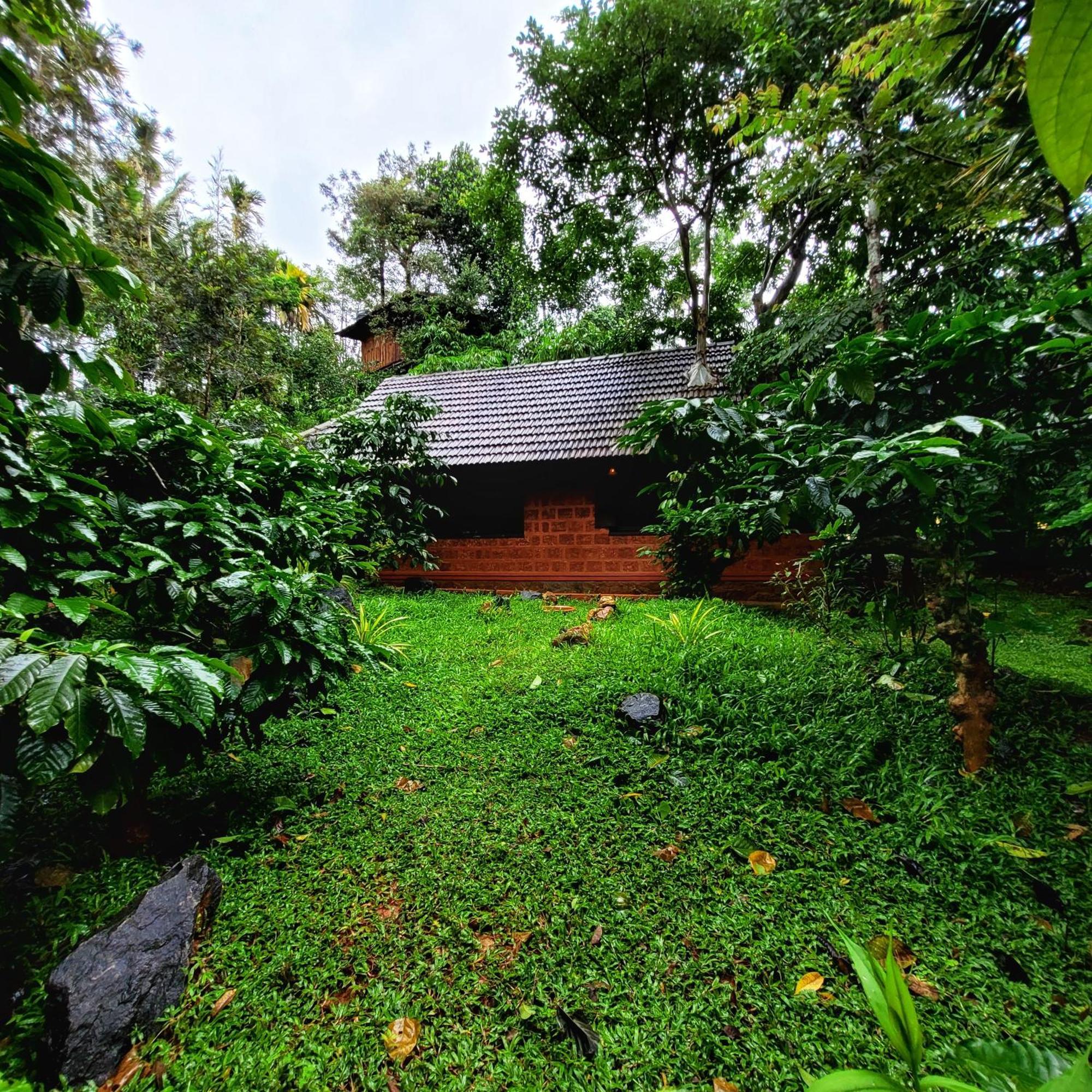 Greens Tree House & Wood House سلطان بتيري المظهر الخارجي الصورة