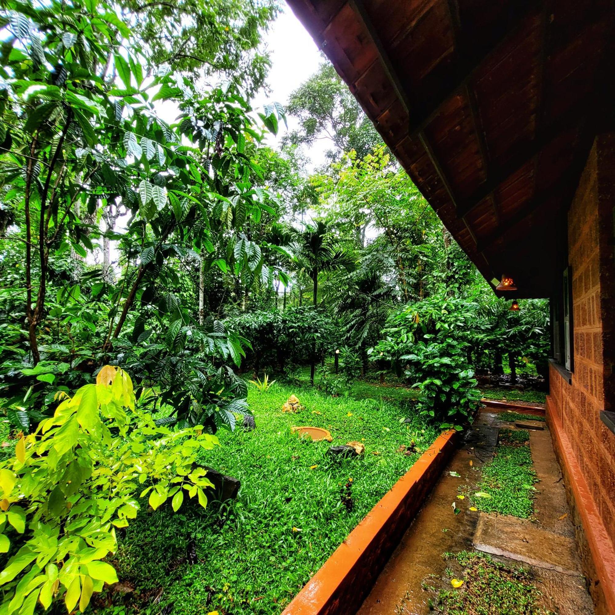 Greens Tree House & Wood House سلطان بتيري المظهر الخارجي الصورة