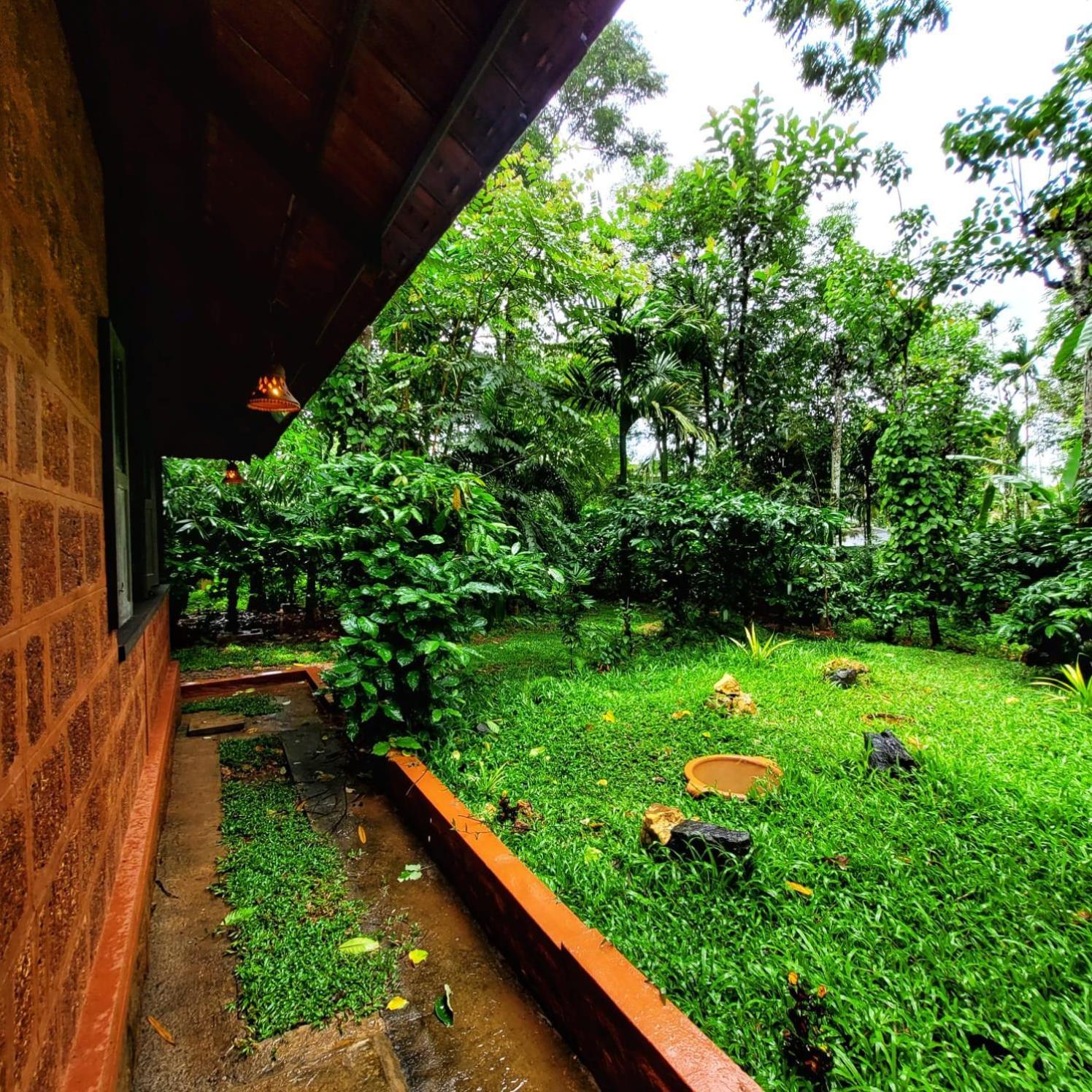 Greens Tree House & Wood House سلطان بتيري المظهر الخارجي الصورة