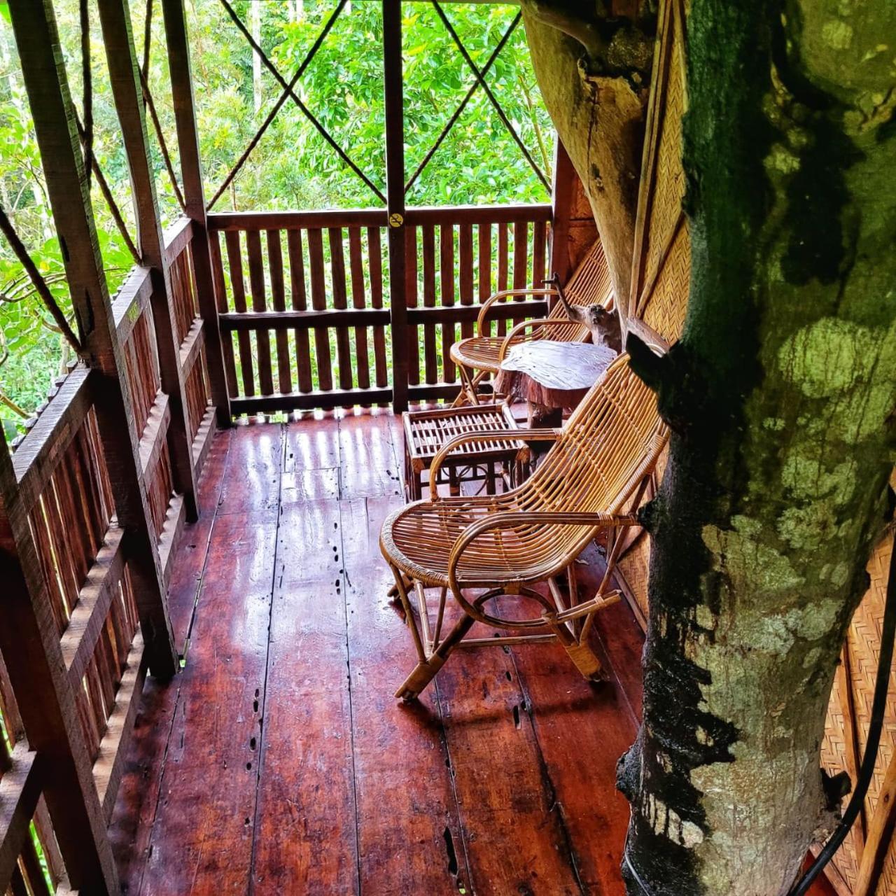 Greens Tree House & Wood House سلطان بتيري المظهر الخارجي الصورة