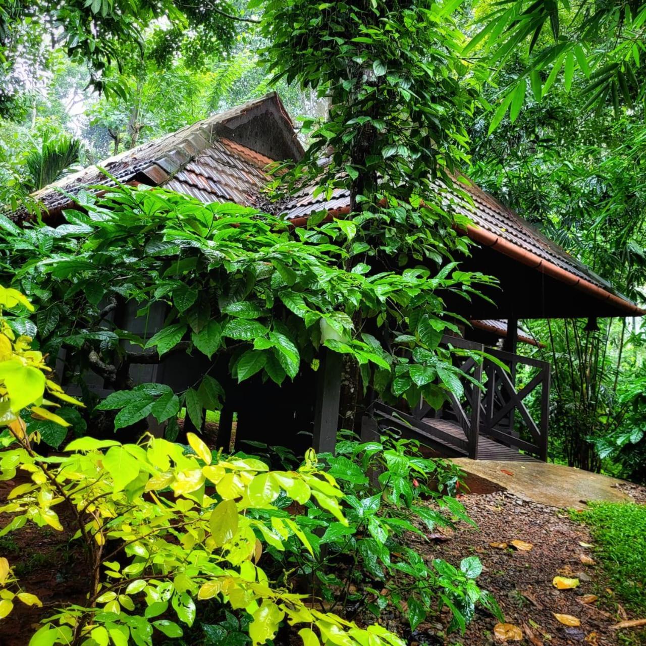 Greens Tree House & Wood House سلطان بتيري المظهر الخارجي الصورة