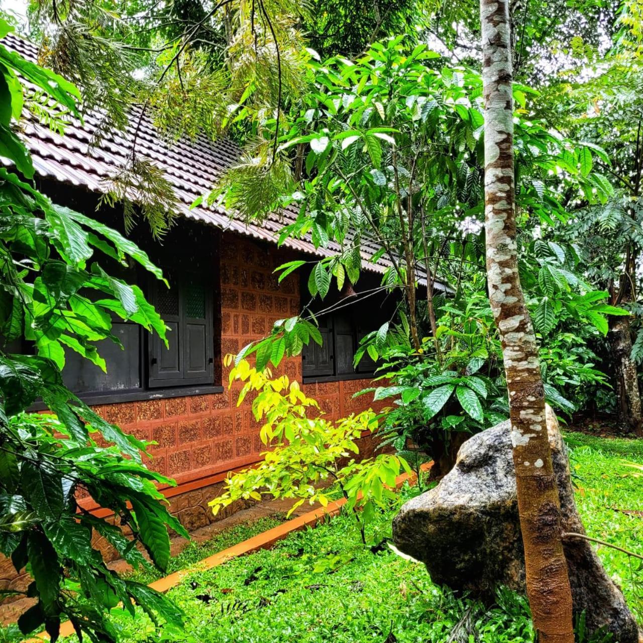 Greens Tree House & Wood House سلطان بتيري المظهر الخارجي الصورة