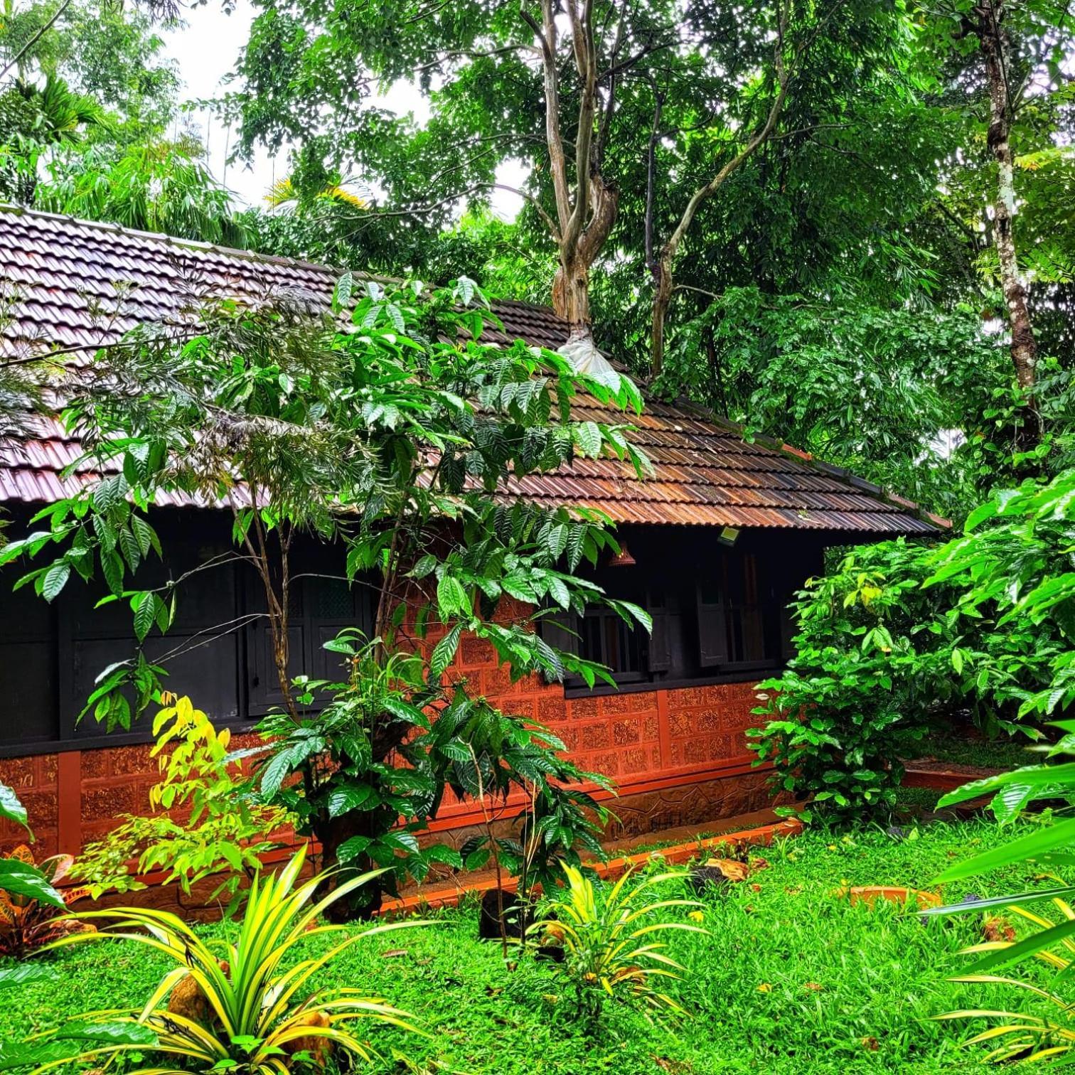 Greens Tree House & Wood House سلطان بتيري المظهر الخارجي الصورة