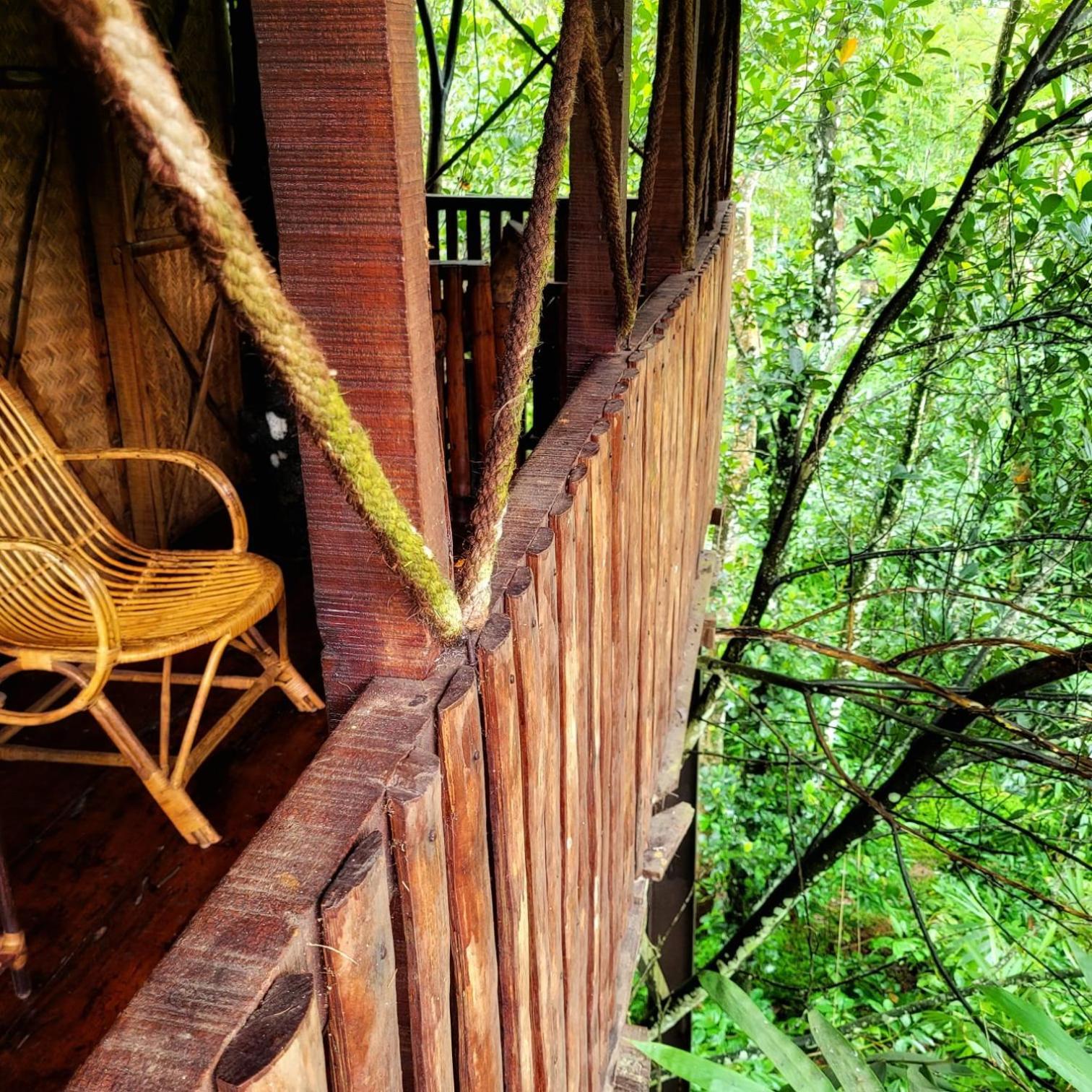 Greens Tree House & Wood House سلطان بتيري المظهر الخارجي الصورة