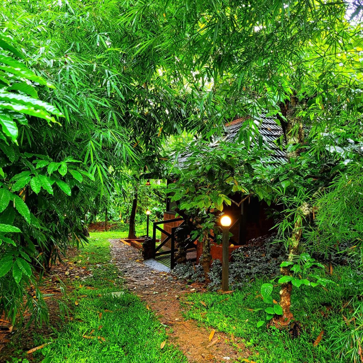 Greens Tree House & Wood House سلطان بتيري المظهر الخارجي الصورة