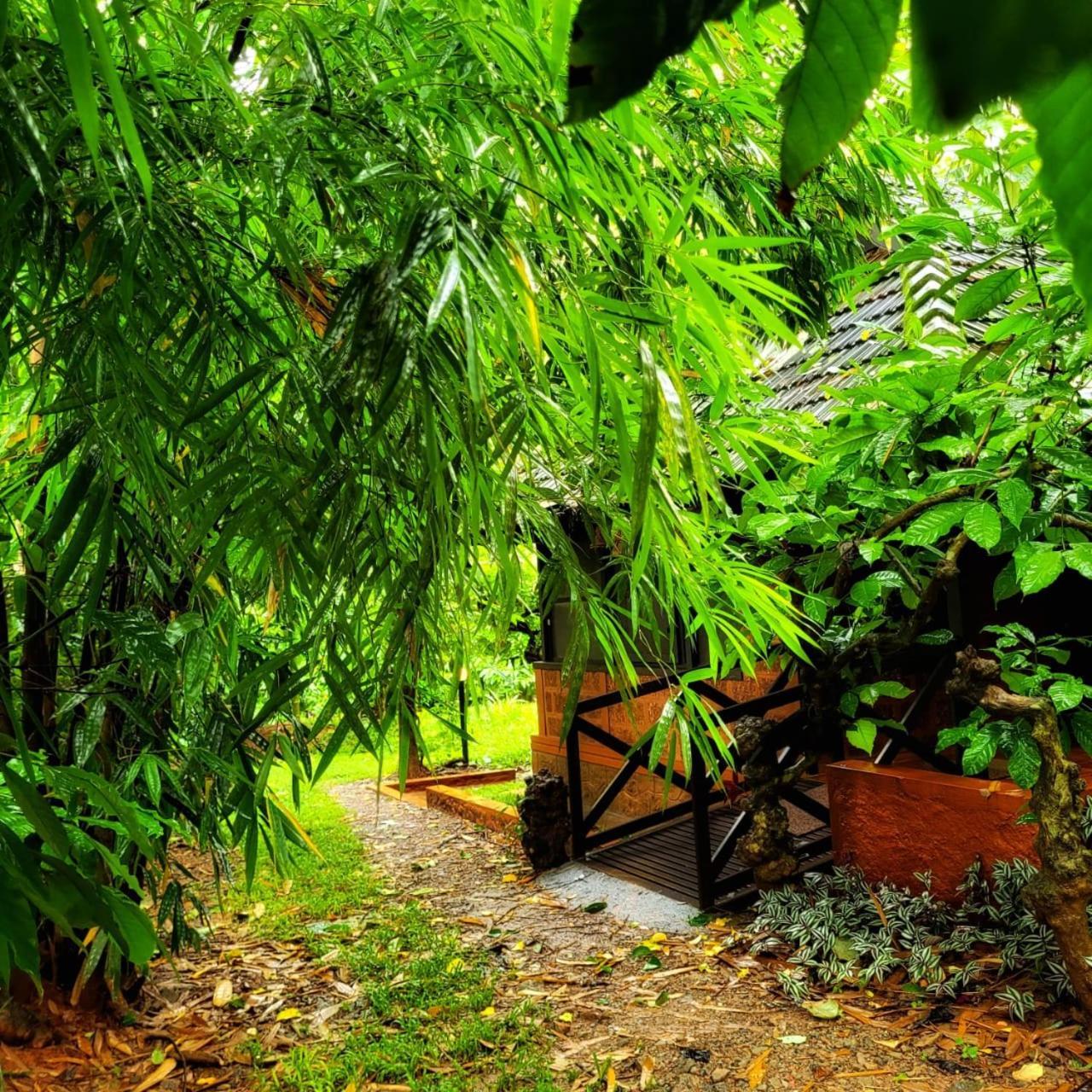 Greens Tree House & Wood House سلطان بتيري المظهر الخارجي الصورة