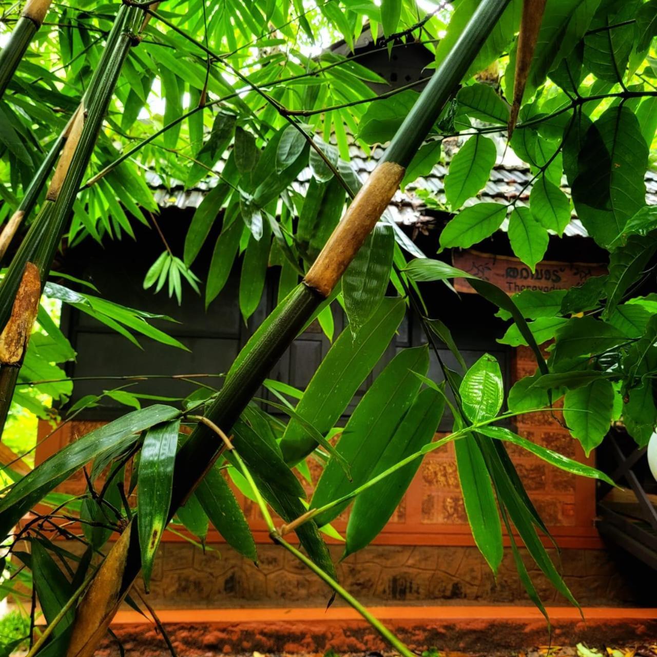Greens Tree House & Wood House سلطان بتيري المظهر الخارجي الصورة