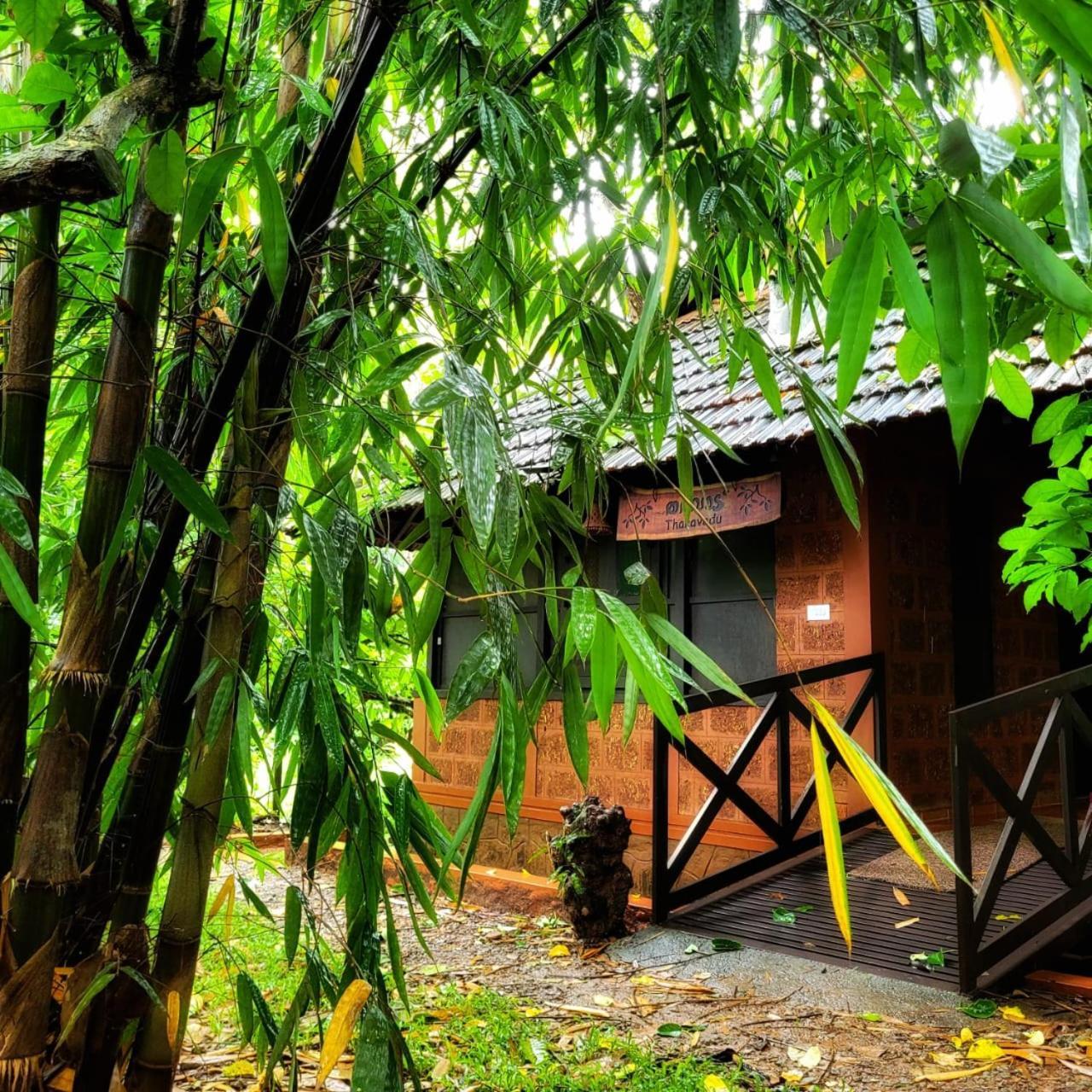 Greens Tree House & Wood House سلطان بتيري المظهر الخارجي الصورة